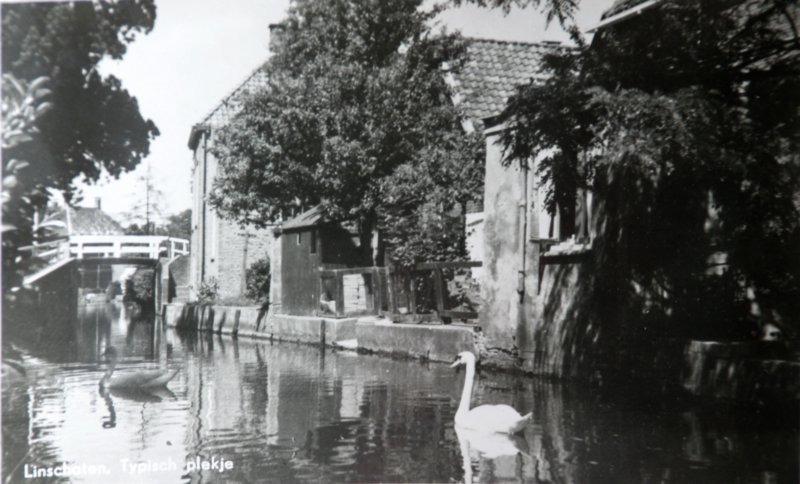 raadhuisstraat02.jpg