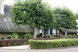 07_dorpstraat_11.jpg