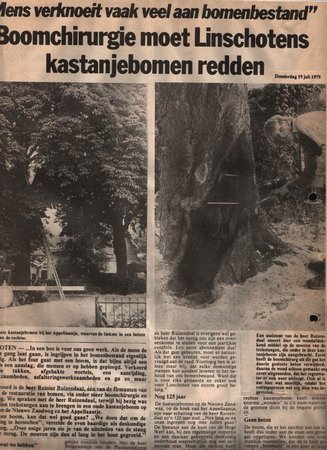 11_krantenknipsel_19_07_1979_kastanjebomen.jpg