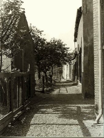 063_gouwe_berg__achter_het_voormalige_gemeentehuis__1950.jpg