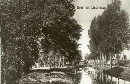 129_bos__schapenlaan_1900.jpg