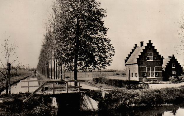 130_schapenlaan_1910.jpg