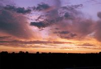 Mooie avondlucht tussen Linschoten en Montfoort, aan de horizon het Linschoter bos